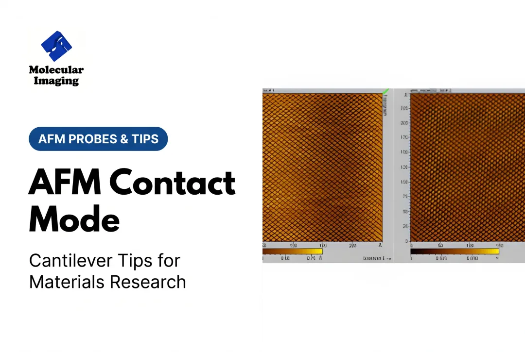 AFM Contact Mode