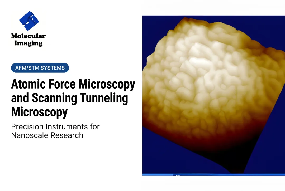 Atomic Force Microscopy and Scanning Tunneling Microscopy