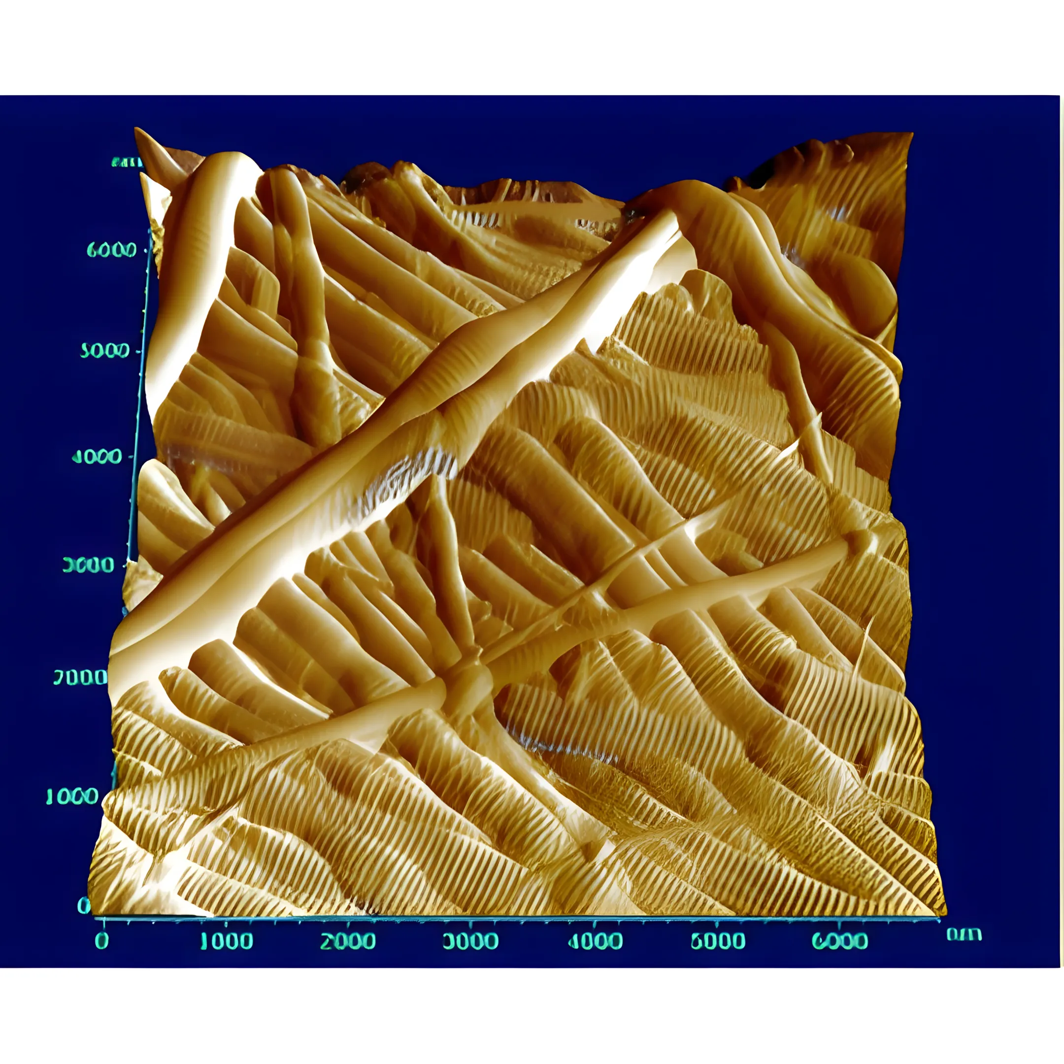 AFM Liquid Cell for Fiber Samples