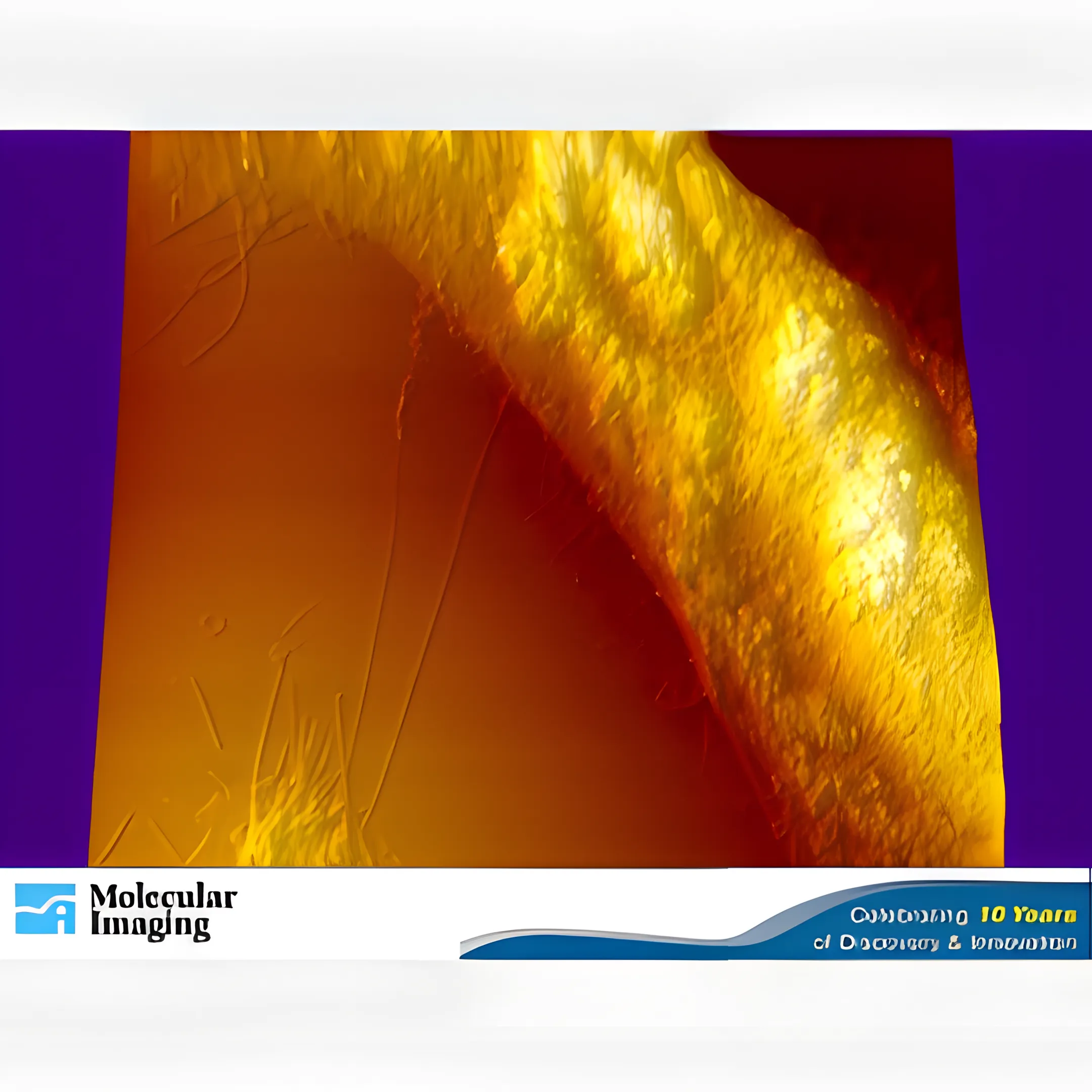 Mini AFM Liquid Cell