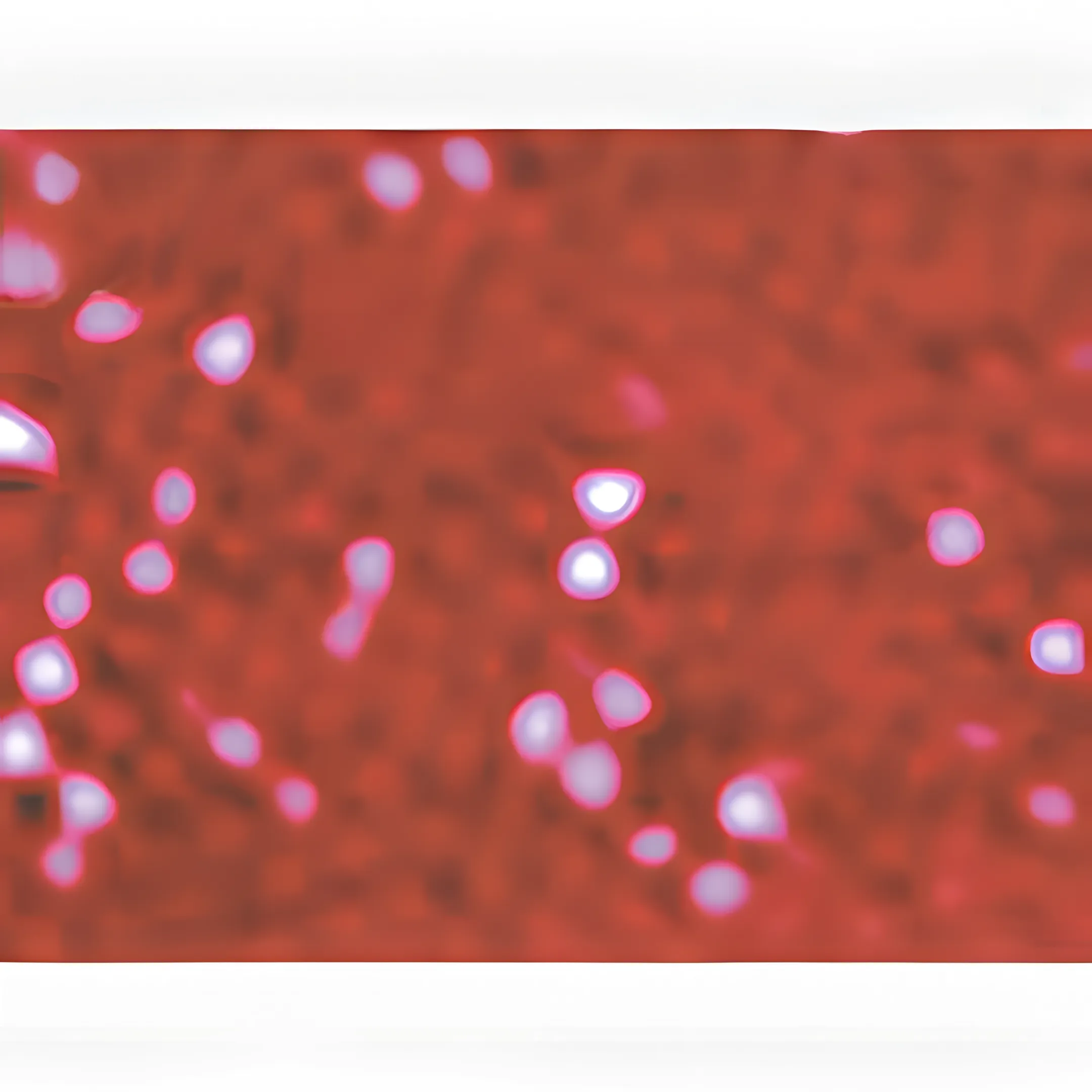 Electrochemistry Cell for Small Metal Beads
