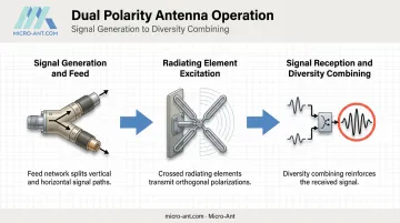 Three-step signal flow process diagram for dual polarity antenna operation