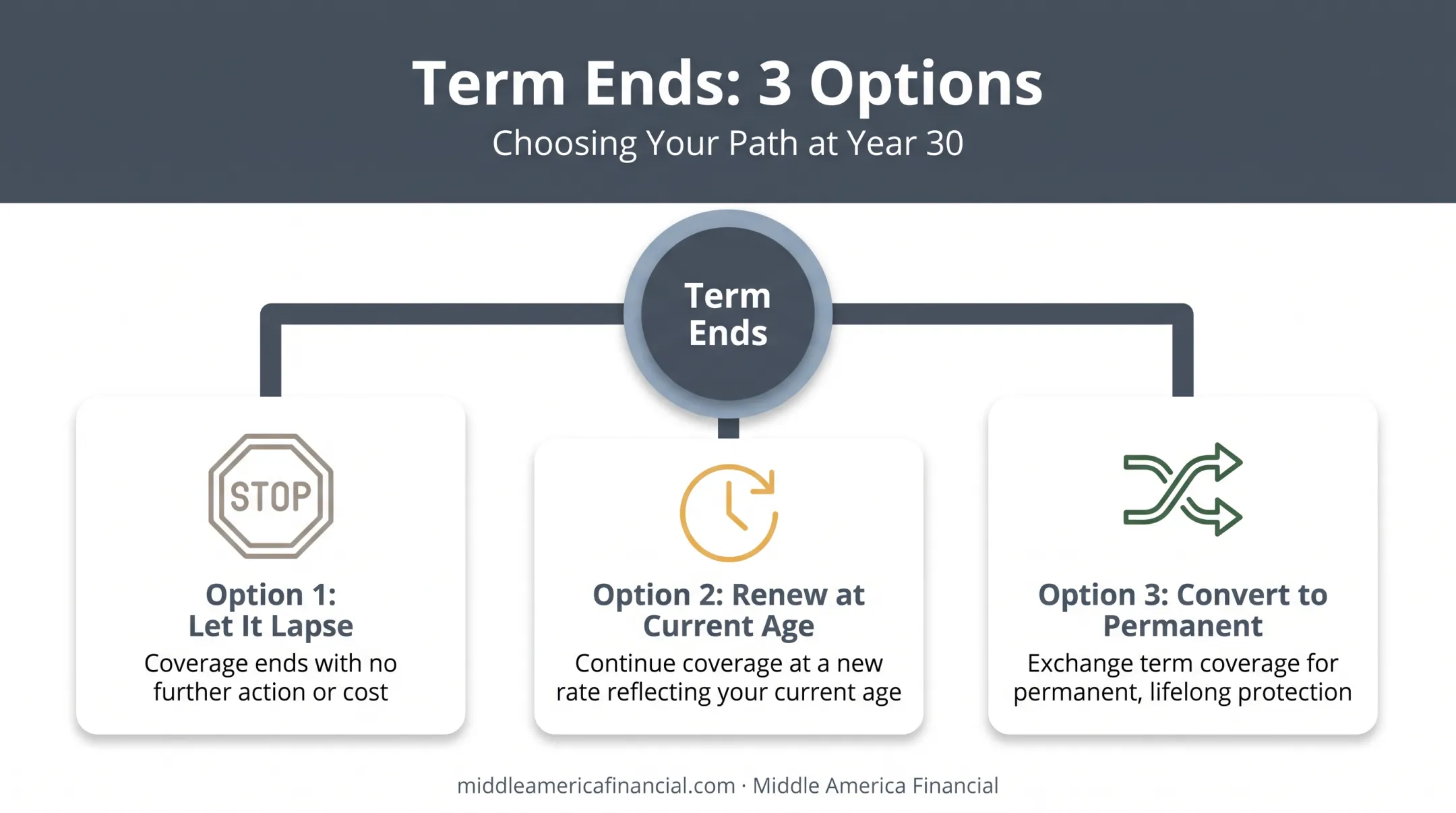 three options when a 30-year term life policy expires