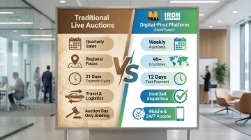 Infographic