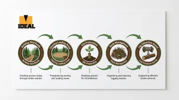 Infographic