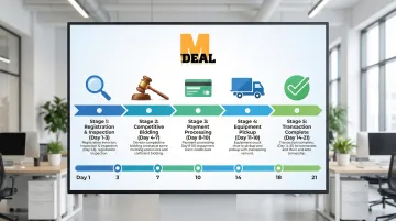 Infographic