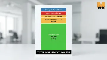 Infographic