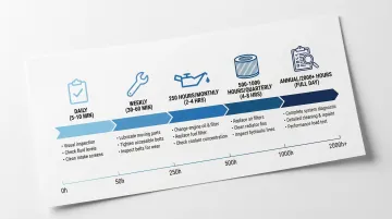 Infographic
