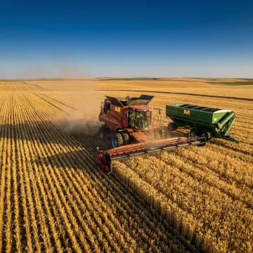 Agriculture & Farming