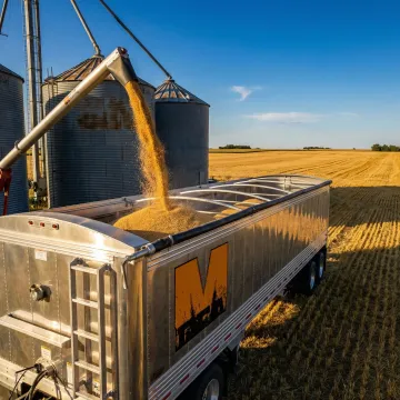 Agriculture & Farming