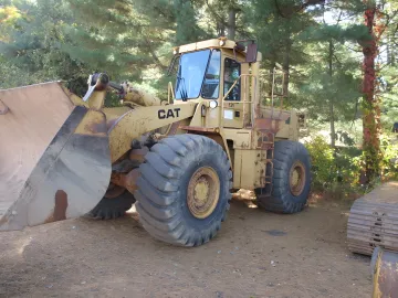 Landscape Development