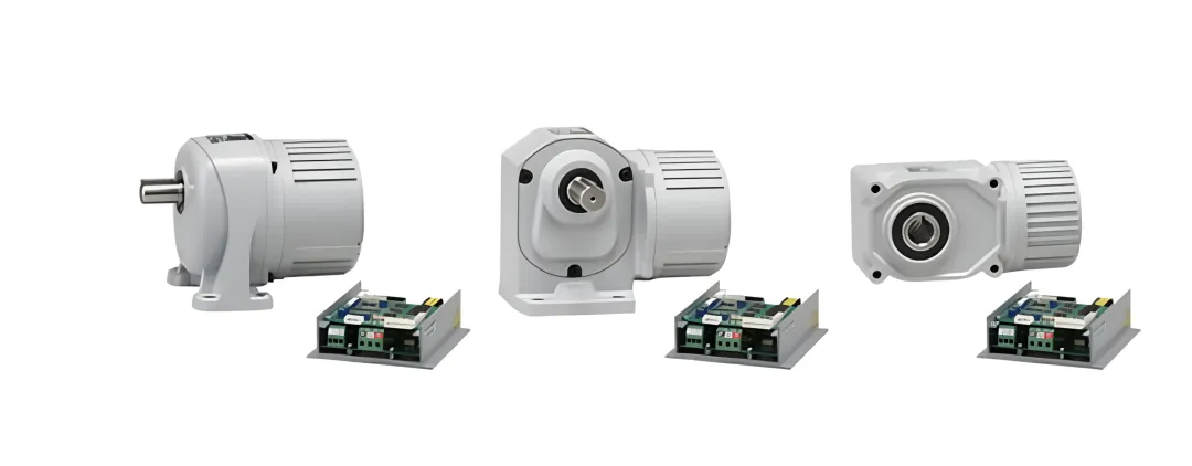 12V DC Gear Motors