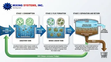 Infographic