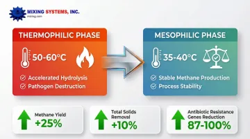 Infographic