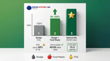 Infographic