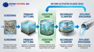 Infographic