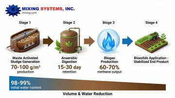 Infographic