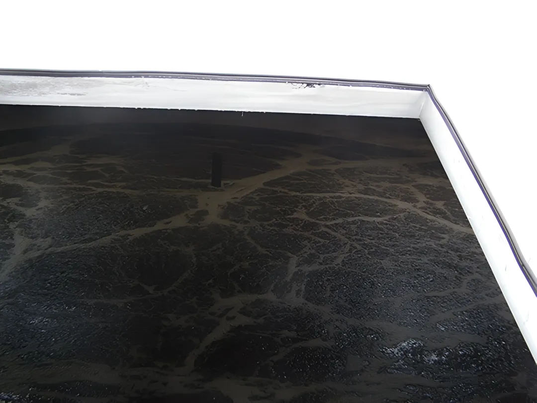 Municipal Wastewater Treatment