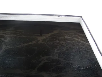 Municipal Wastewater Treatment