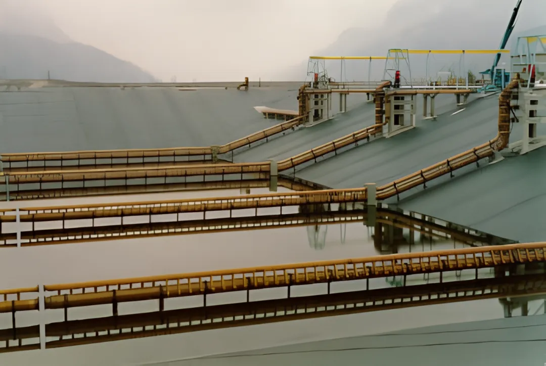Pulp and Paper Manufacturing