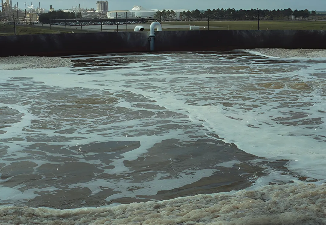 Municipal Wastewater Treatment