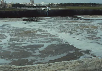 Municipal Wastewater Treatment