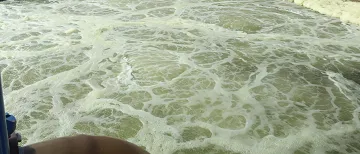 Food and Beverage Processing