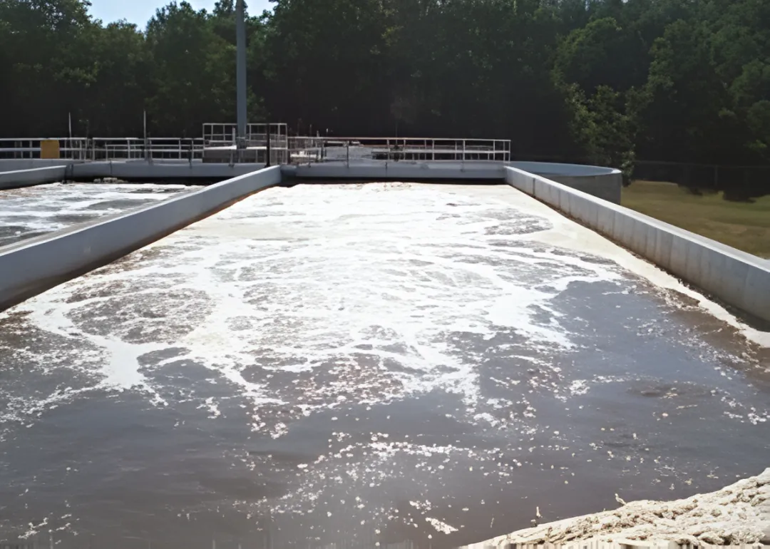 Municipal Wastewater Treatment