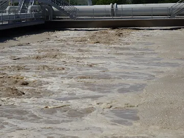 Food & Beverage Processing