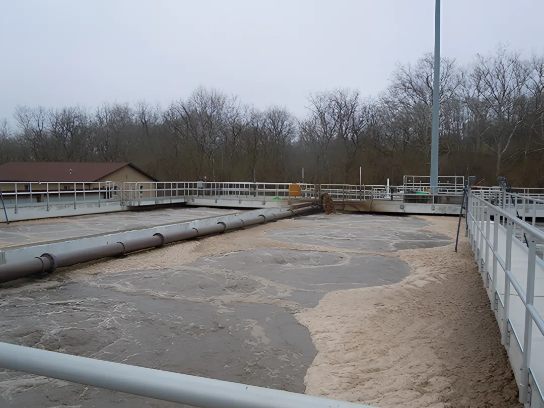 Municipal Wastewater Treatment
