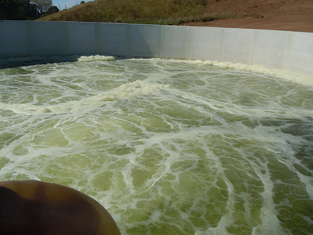 Municipal Wastewater Treatment