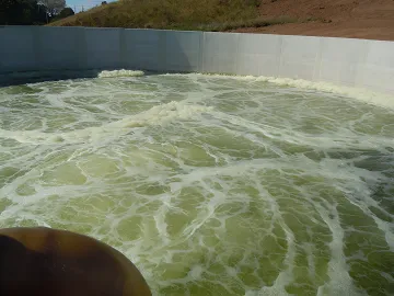 Municipal Wastewater Treatment