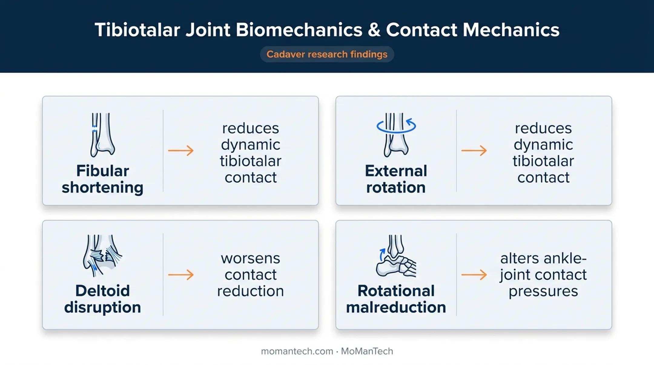 Fibular malreduction effects on ankle joint contact mechanics
