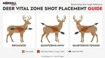 Deer vital zone target area shown at three shooting angles