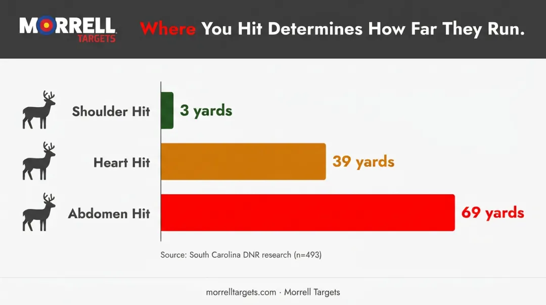 Whitetail deer shot placement comparison chart showing average travel distance by hit location