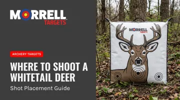 Where to Shoot a Whitetail Deer: Shot Placement Guide