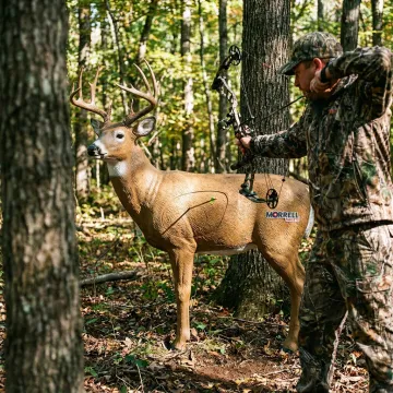 Bowhunting