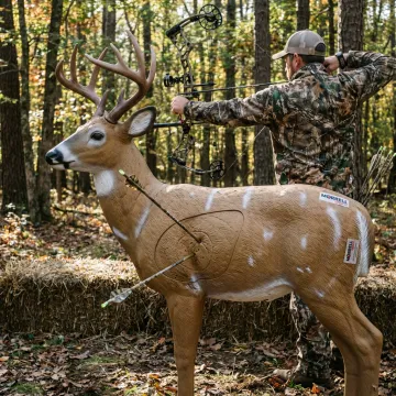 Bowhunting Preparation