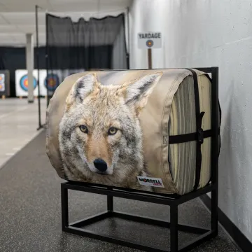 Commercial archery range with coyote target