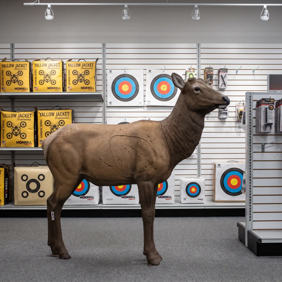 Sporting Goods Retail
