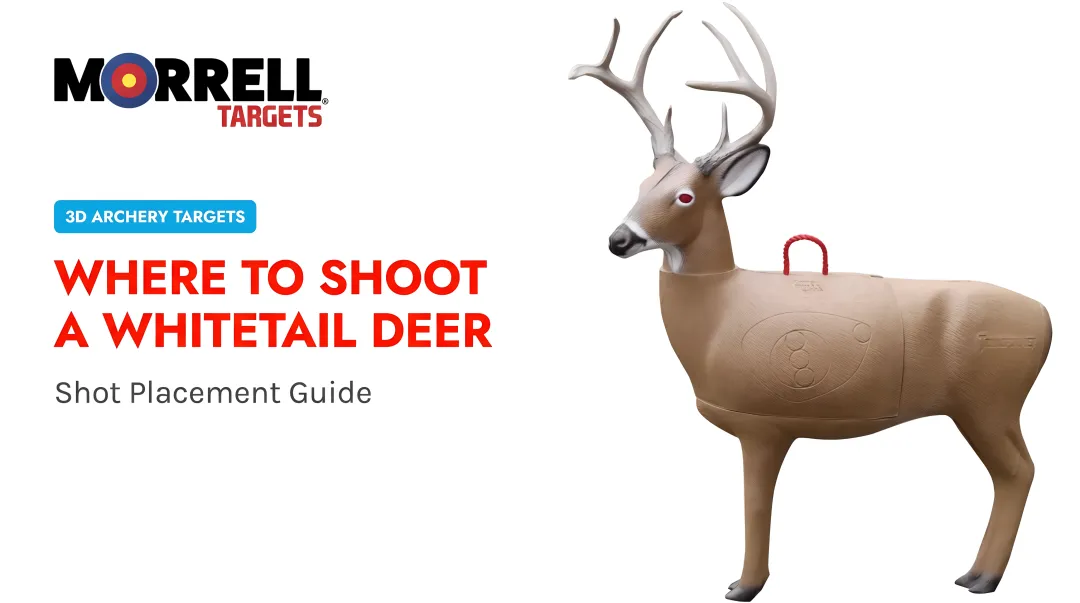 Where to Shoot a Whitetail Deer: Shot Placement Guide