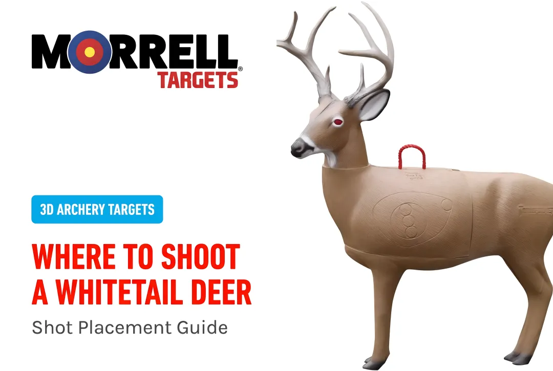 Where to Shoot a Whitetail Deer: Shot Placement Guide