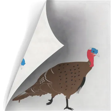 Two Sided Polypropylene Target Face - Turkey