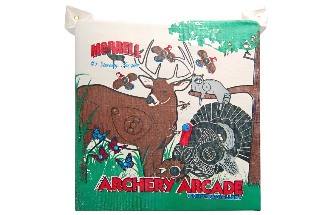 Youth Archery Arcade Field Point Archery Target