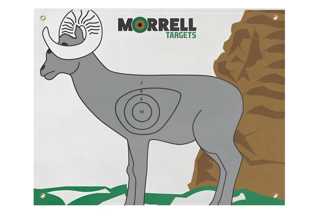 Ram I.B.O/NASP Polypropylene Archery Target Face