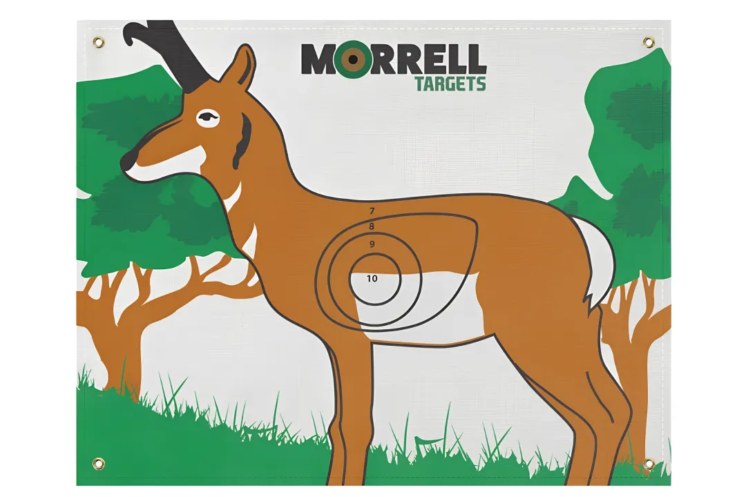 Antelope I.B.O/NASP Polypropylene Archery Target Face