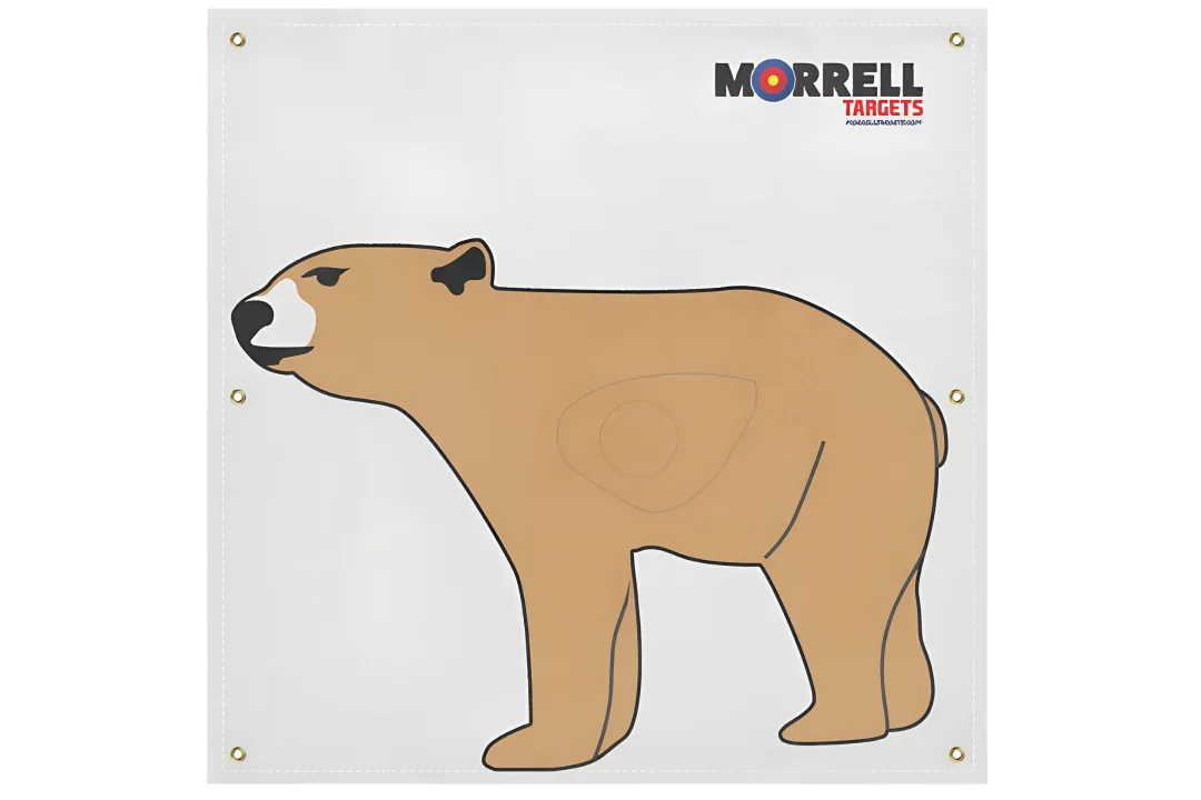 NASP-IBO Life Size Bear Archery Target Face