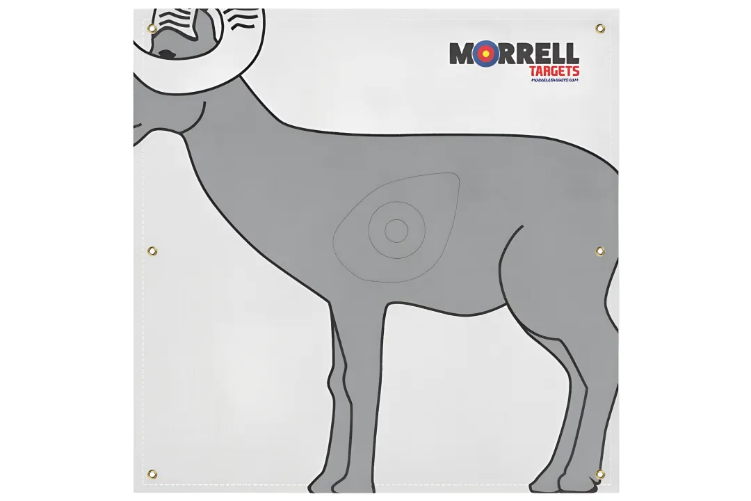 NASP-IBO Life Size Ram Archery Target Face