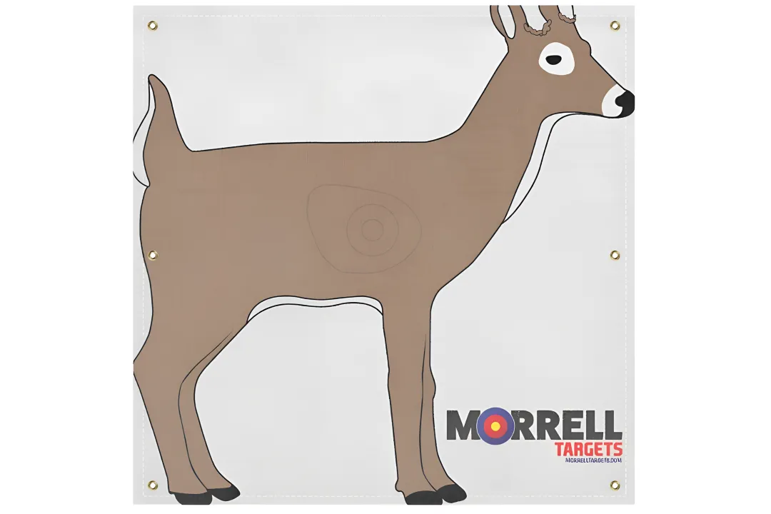NASP-IBO Life Size Whitetail Archery Target Face