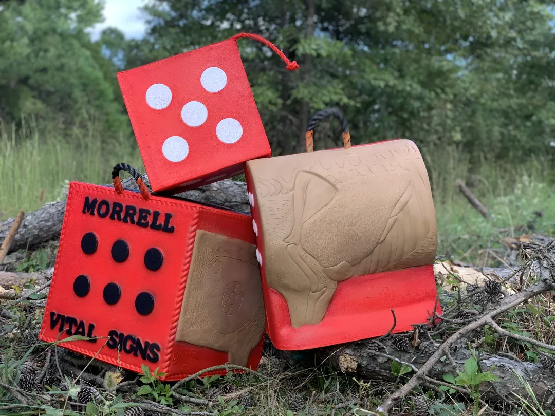 Commercial Archery Ranges
